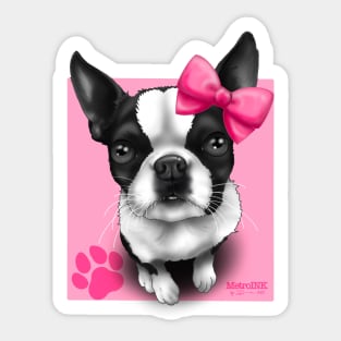 Baby Girl Boston Sticker